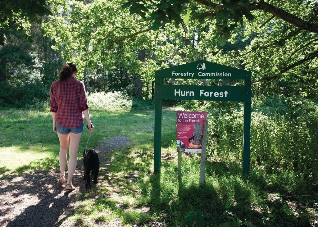Oakdene Forest Hotell Ferndown Eksteriør bilde