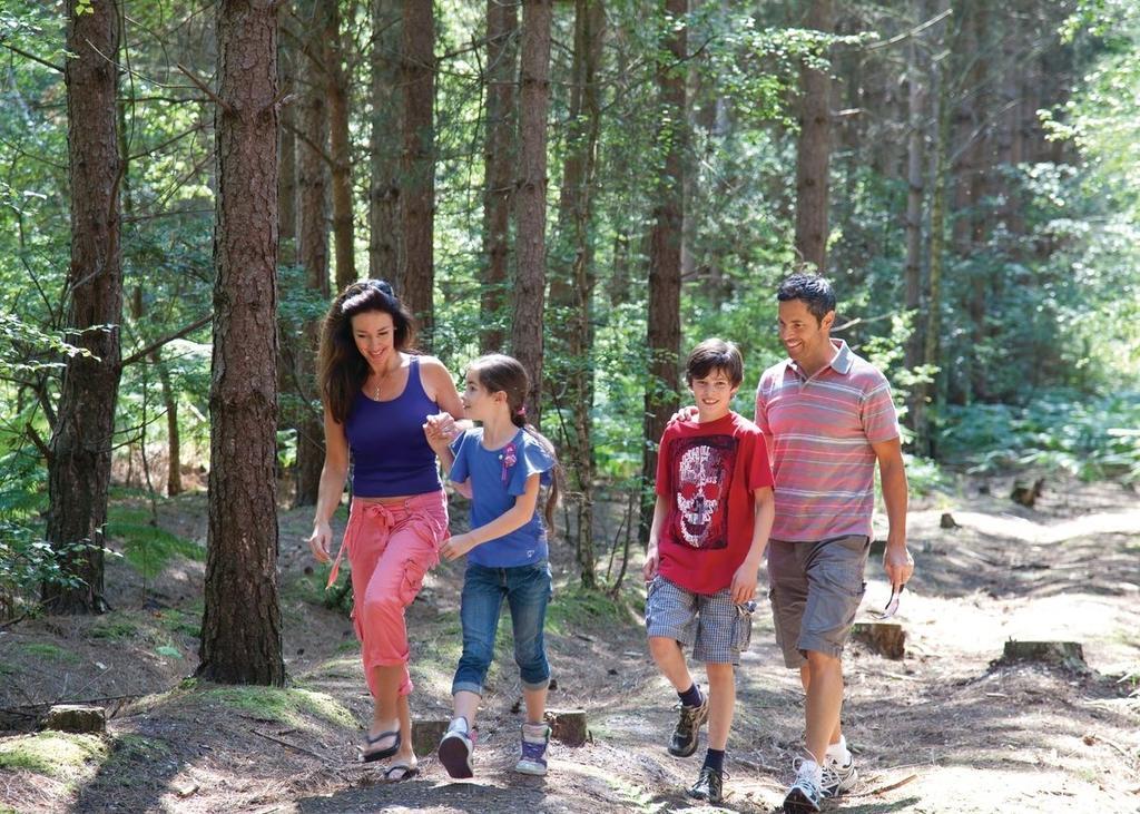 Oakdene Forest Hotell Ferndown Eksteriør bilde